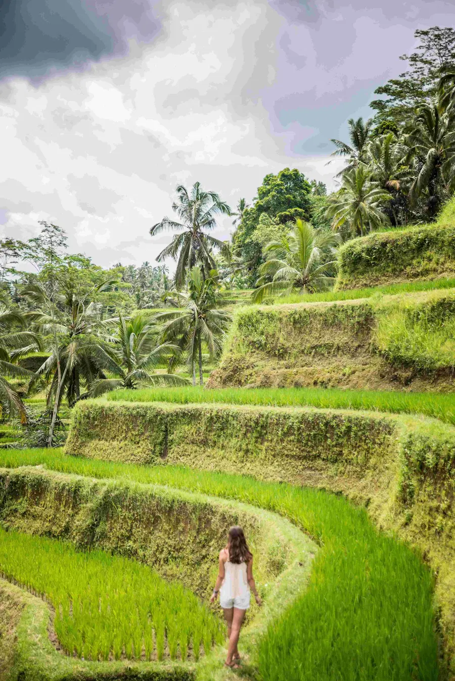 Ubud-tour-packages